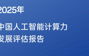 2025年中国人工智能计算力发展评估报告