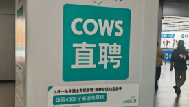 “奶牛跳槽”嘲讽打工人？认养一头牛广告惹争议！